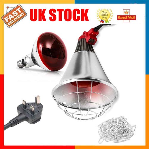 250w infrared heat - 250w, lamp