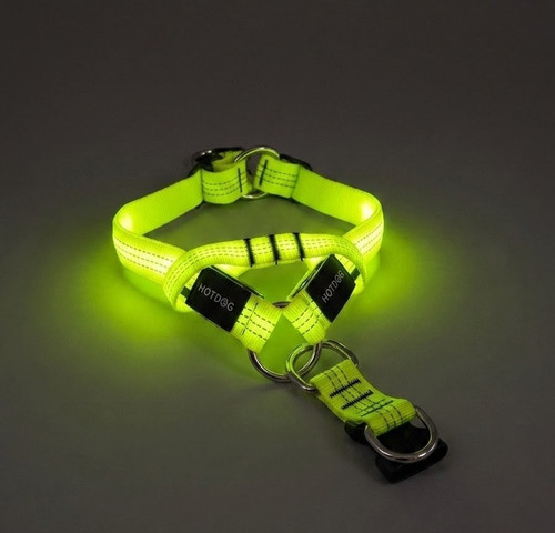 Hotdog led dog harness usb - dog,