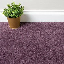 Cheapest Carpet Liberty Twist Pile ONLY £4.99/m² Carpets 4m Wide Cheap Clearance