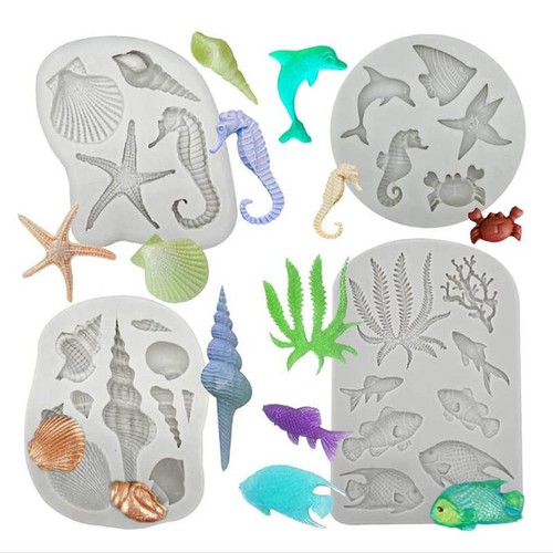 Sea animal coral seashell - sea,