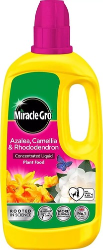 Miracle gro azalea camellia - miracle-gro,