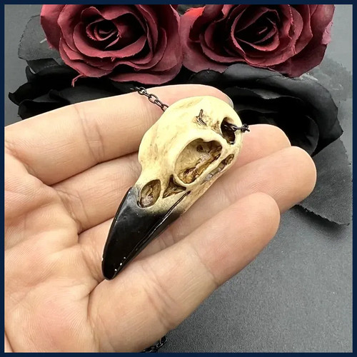 Raven skull necklace - raven,