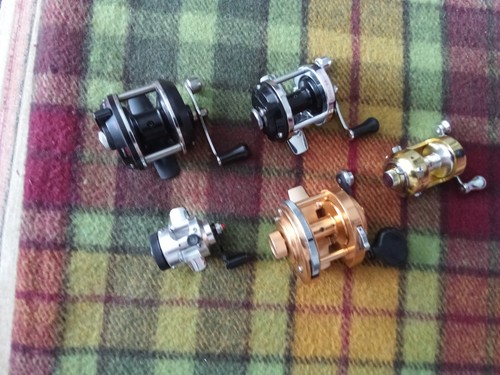 Five beautiful mini - , multiplier