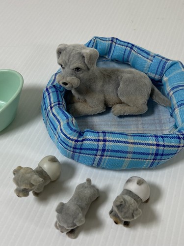 Puppy pocket flocked - my,