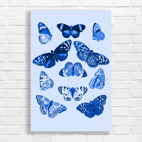 Vibrant butterfly canvas print - vibrant,