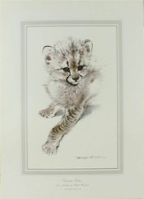 PRINT/ CHEETAH KITTEN / RALPH