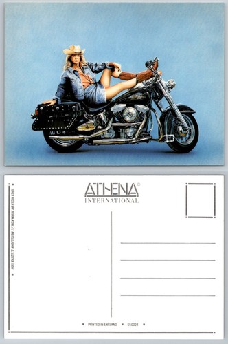 Easy rider robin koni - rider,