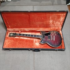 YAMAHA SG 1600WR with Hard