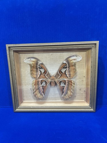 Vintage framed female - vintage,