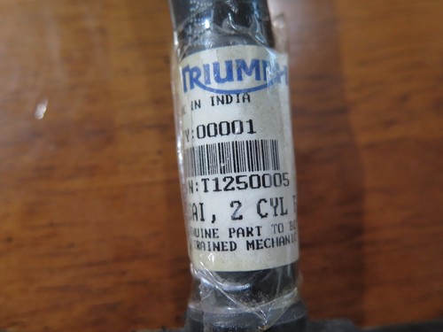 Triumph thunderbird secondary - triumph,
