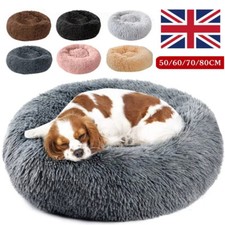 Extra Large Dog Cat Pet