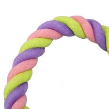 Bird Rope Perch Fun Colorful
