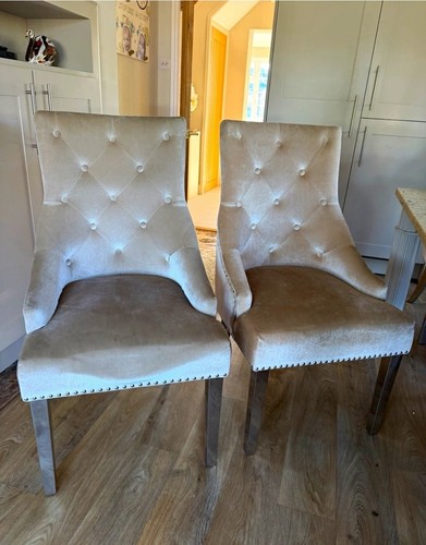Contemporary grey velvet - contemporary,