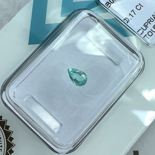 Igi certified paraiba - certified,