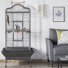 African grey cage - grey,