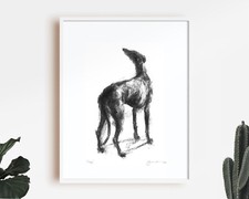 100% to  Project Galgo Charity