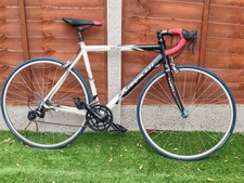 SARACEN TOUR Road ( RACING)