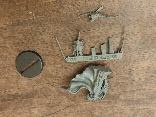 Miniature raging heroes - dg-fk,