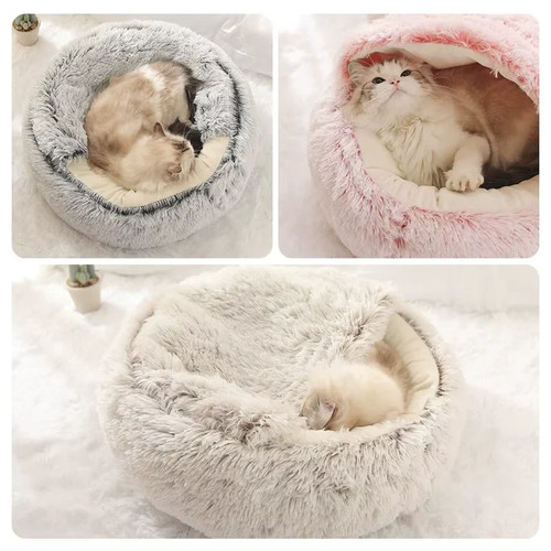 Dog cat hooded - kitten, cave