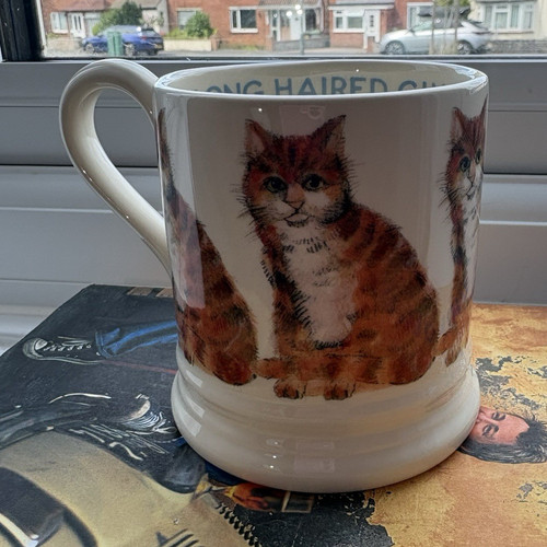Emma bridgewater cats - cats, long