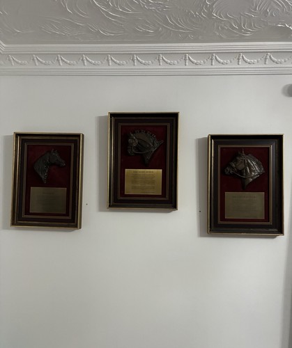 Framed horse wall - horse, plaques