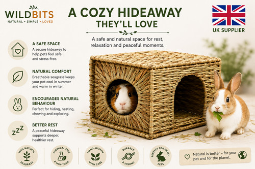 Rabbit guinea pig hideout - rabbit,