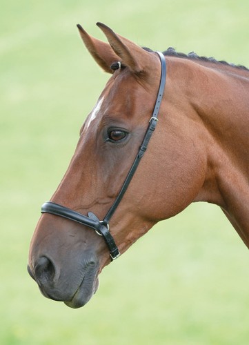 Shires blenheim drop noseband - blenheim,