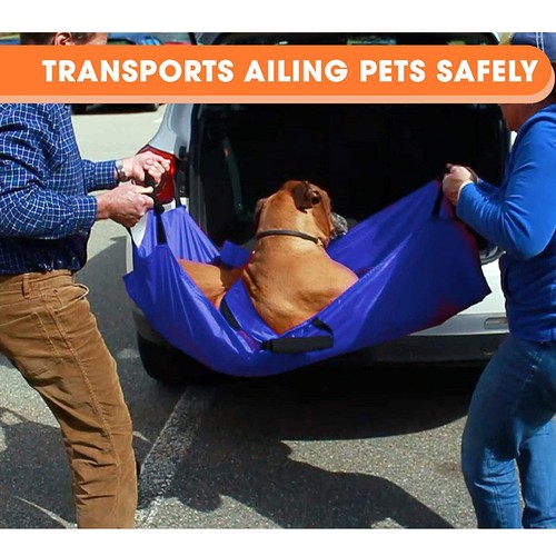Pet transport stretcher for - transport,