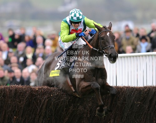 Denman sam thomas - sam, gold