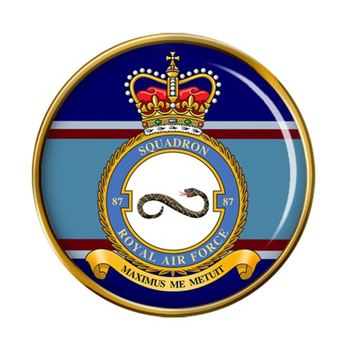 Squadron raf pin - 87, badge