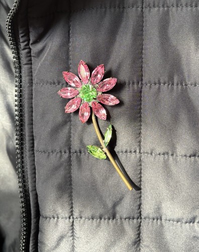 Dorothy bauer flower - bauer, on