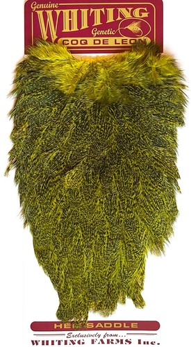 Whiting coq leon hen - coq, de