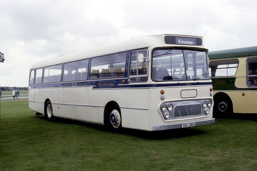 Stratford blue preserved - stratford,