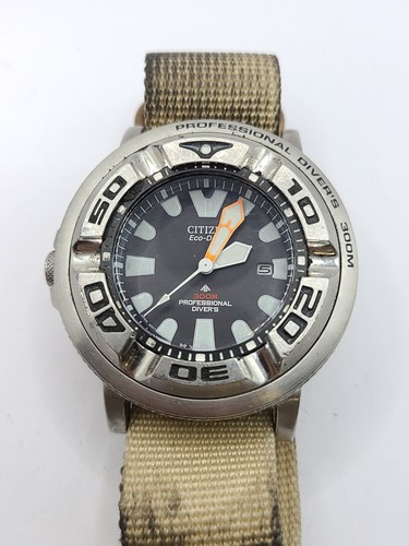 Citizen ecozilla professional - ecozilla,
