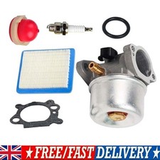 799868 Carburettor Carb for