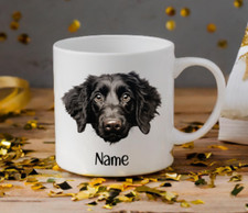 Curly-Coated Retriever Dog