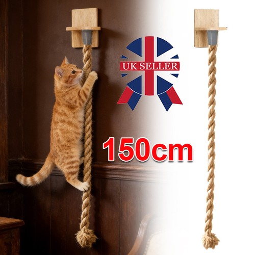 Interactive cat climbing shelf - cat,