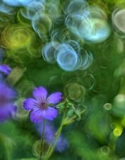 Helios 44M Modified 58mm F2 Lens With Awesome Bubble Bokeh Effect M42 Screw