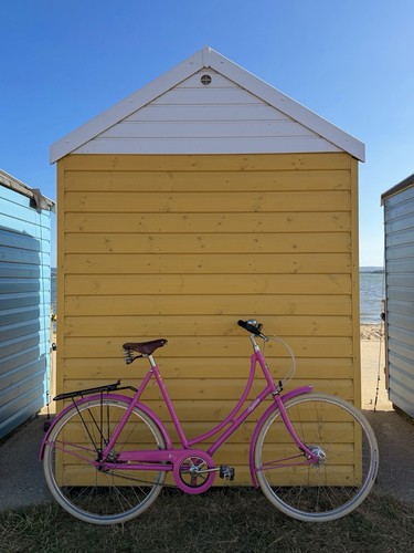 Ladies pashley poppy - ladies,