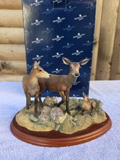 BORDER FINE ARTS RED HIND