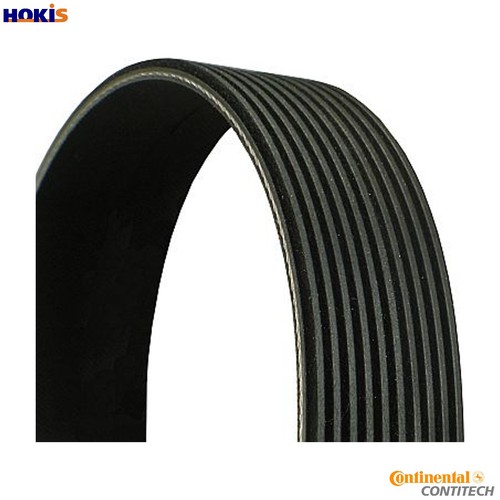 Vribbed belt 10pk1447 - vribbed, for