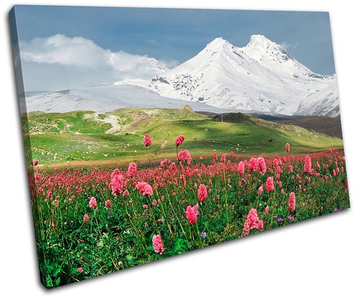 Floral mountains landscapes - mountains,