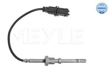 Exhaust Gas Temperature Sensor