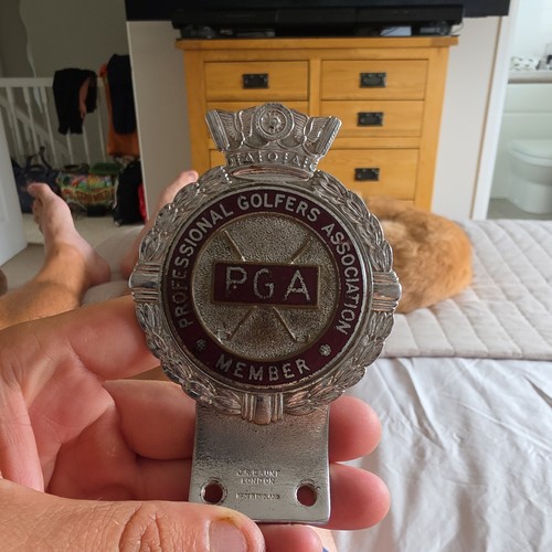 Professional golfers - professional,