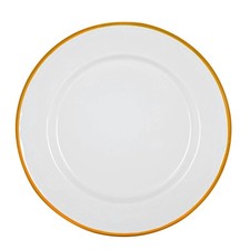 White Enamel Dinner Plates