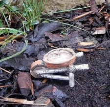 Miniature Fairy Garden