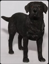Black Labrador Dog Ornament Figurine Standing Dog Studies Range by Leonardo