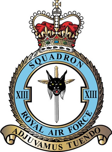 Raf squadron badge metal - 13, on