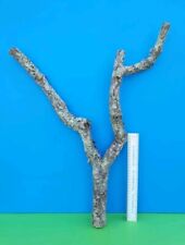 CORK BARK BRANCH 64CM LEOPARD