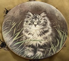 Royal Worcester Crown Ware Collectors Plate Wild Flower Kitten Classics
